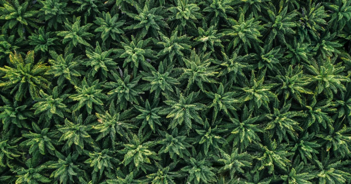 New Wisconsin Bill Could Legalize Medical and Recreational Cannabis