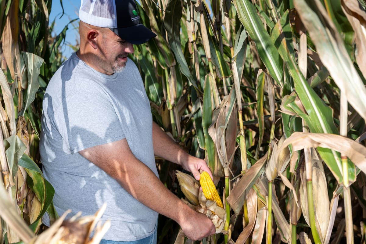 BioLumic Expands Light-Activated Seed Trait Platform to South America