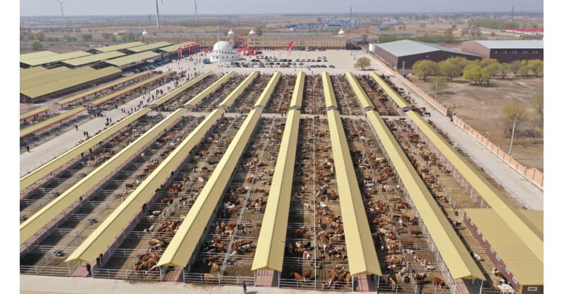 Hinggan League's Agricultural, Cultural and Tourism Consumption Carnival Opens in Beijing, Showcasing Green Development and Brand Building