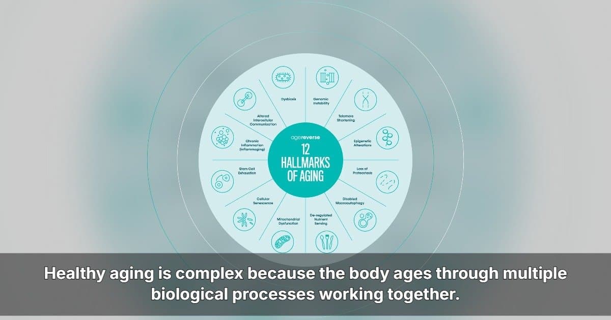 AgeReverse Expands to U.S. With Comprehensive Longevity Supplement RESURGE