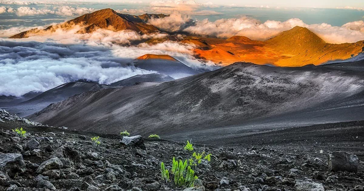 This Week Hawaii Marks 60 Years with Digital Expansion and Enhanced Tracking for Advertisers