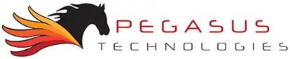 Pegasus Technologies Unveils Data Protection Standards for Legal Practices to Combat Advanced Identity Threats