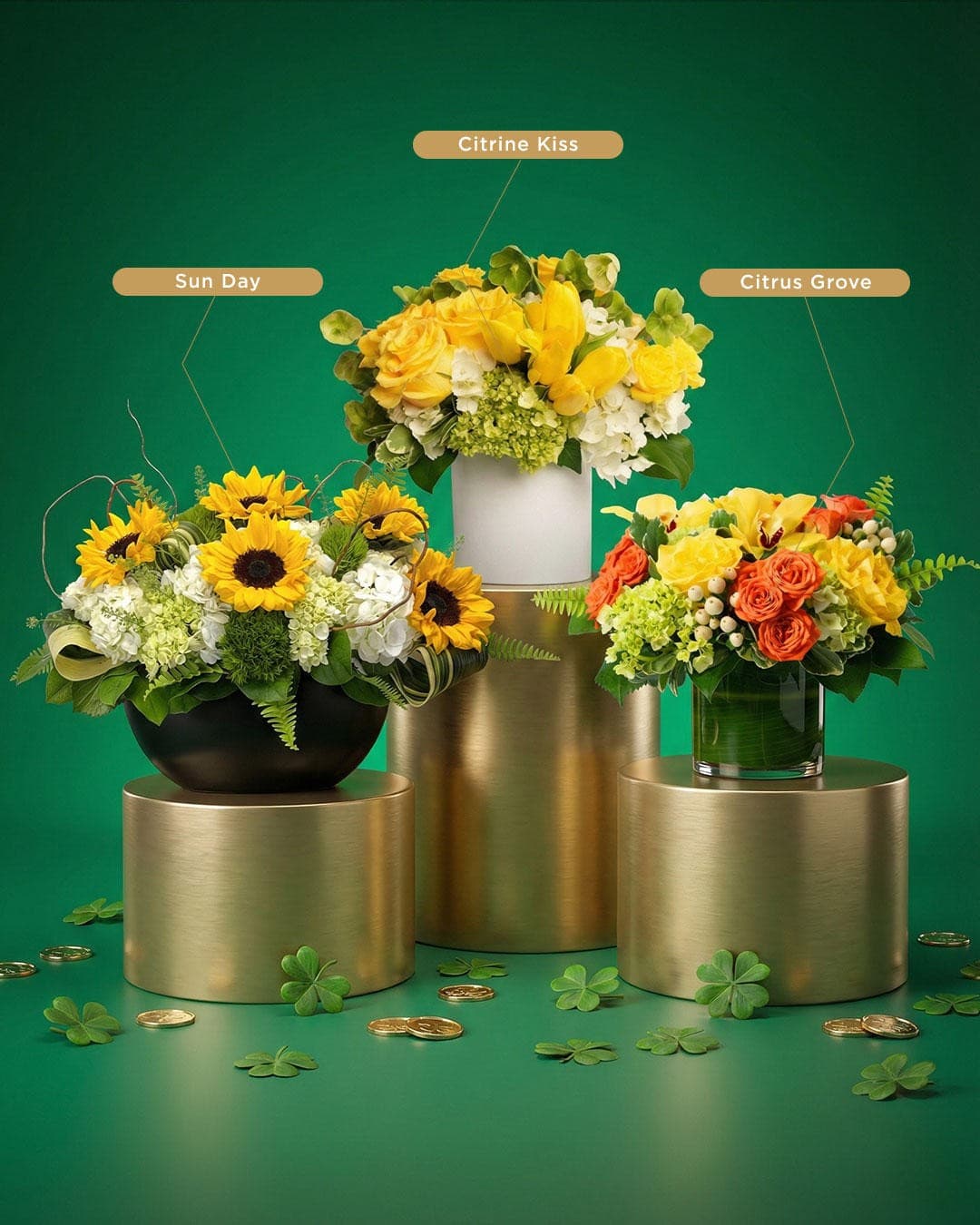 Juno Beach Florist Launches Signature Orchid Collection